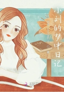 Xiao Liu's Dream Diary