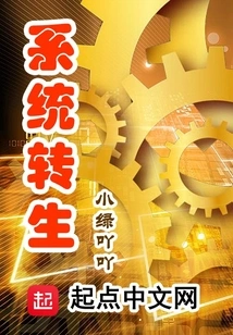 System Reincarnation