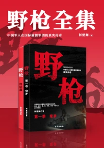 Complete Works of Wild Gun