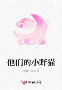 Their Little Wildcat