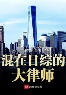 A Barrister Who Works in Japan