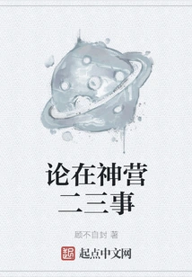 On Two or Three Things in Shenying