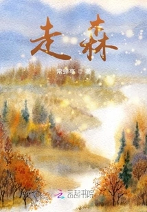 Take a Walk in the Forest