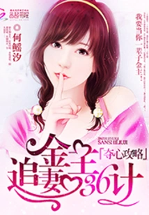 Heart-stealing Strategy: 36 Strategies for a Financial Owner to Chase His Wife