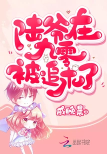 Mr. Lu Was Pursued in 90