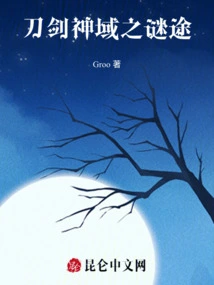 The Mysterious Path of Sword Art Online