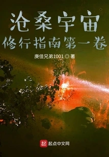 Vicissitudes of the Universe