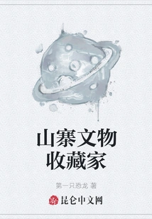 Counterfeit Cultural Relic Collector