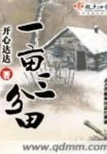 One Third of an Acre of Field