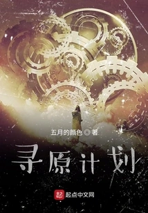 Looking for the Original Plan