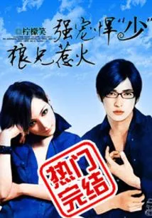 The Third Young Master of the Lin Family