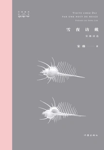 Visiting Dai on a Snowy Night