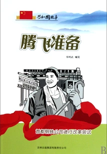 Preparing for Takeoff: Capital Steel Co. Attempts Reform