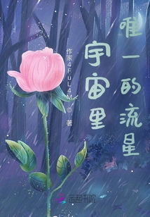 The Only Meteor in the Universe