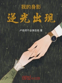 My Figure Appears Against the Light