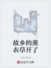 The Lavender in My Hometown is Blooming