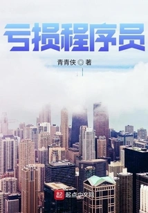 Loss-making Programmer