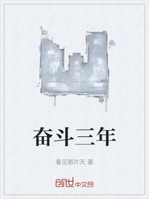 Three Years of Struggle