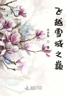 Flying over the Snowy Top