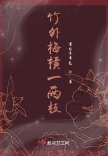 One or Two Branches of Plum Blossom Outside the Bamboo