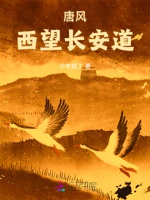 Tang Feng: Looking at Chang'an Road from Afar