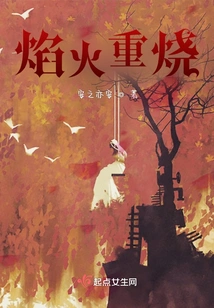 Fireworks Burn Again