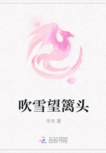 Blowing Snow and Looking at the Fence