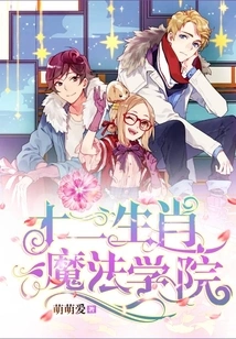 Zodiac Magic Academy