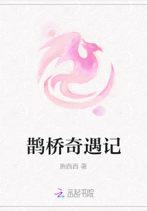 Adventures in Magpie Bridge