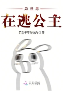 A Fugitive Princess from Another World