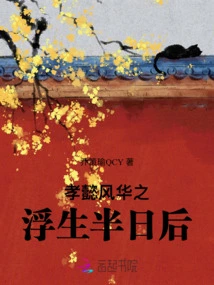 Half a Day after Xiaoyi's Graceful Life