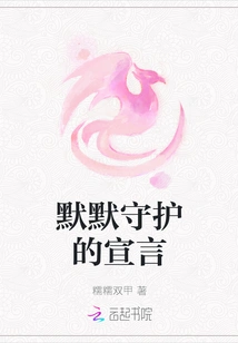 Declaration of Silent Protection