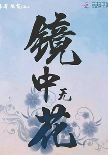 No Flowers in the Mirror