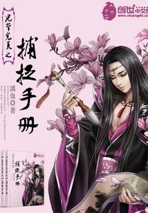 Feichang Perfect Capture Manual