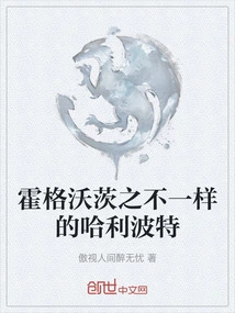 Hogwarts: a Different Harry Potter