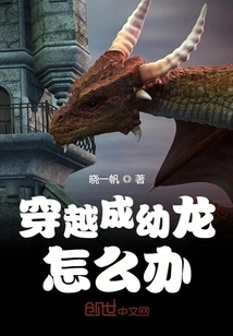 What to Do If You Travel Through Time and Become a Young Dragon