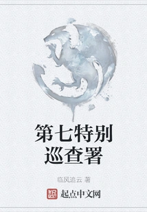 Seventh Special Inspection Bureau