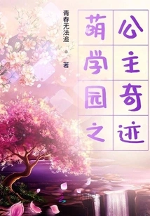 Moe Academy Princess Miracle