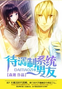 System Boyfriend to Be Modulated