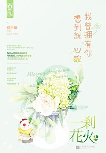 A Flash of Fireworks 2