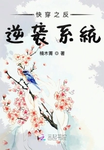 Quick Travel Anti-counterattack System