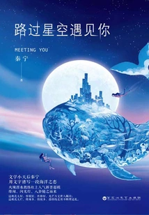 I Met You Passing by the Starry Sky