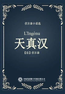 The Innocent Man (selected Novels by Voltaire)