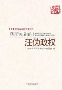 The Wang Puppet Regime I Know