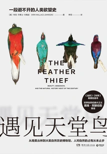 Meet the Bird of Paradise