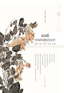 2016 China Annual Reportage