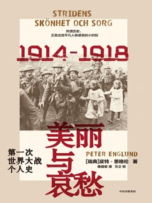 Beauty and Sorrow: a Personal History of the First World War (2nd Ed.)