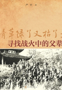 The Grass is Green and Then Withered: Looking for Our Fathers in the Flames of War