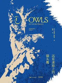 Owl on the Far East Icefield