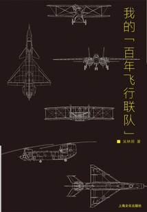 My "centennial Flying Wing